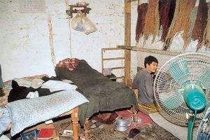 Teppichknüpfer aus Afghanistan